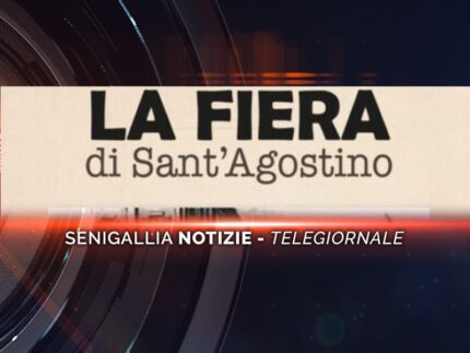 senigallia notizie telegiornale