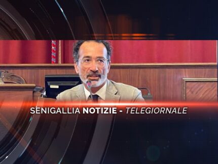 senigallia notizie telegiornale