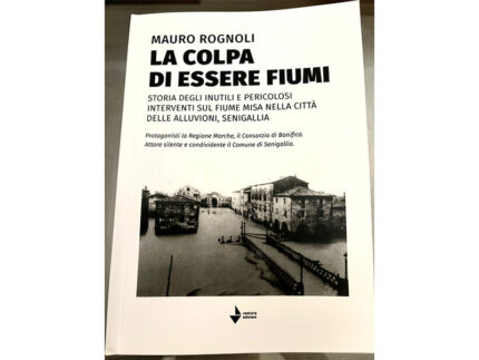 La colpa di essere fiumi, libro di Mauro Rognoli