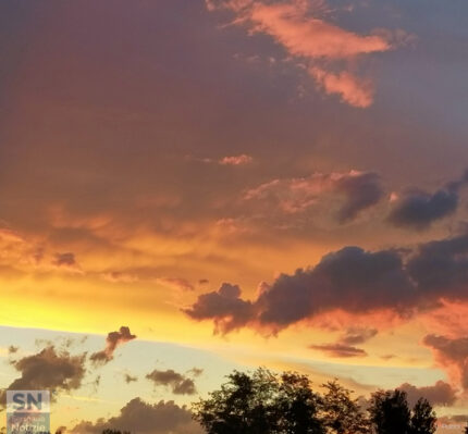 Dialogo tra dinosauri - Foto Lara Pucci
