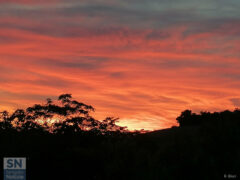 Tra Scapezzano e Roncitelli - Foto Roberta Bisci