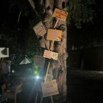 Serata del Collettivo Parliamone