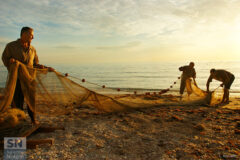 La tratta al Cesano - Foto Loriano Brunetti