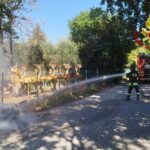 Veicolo in fiamme a Ripe di Trecastelli