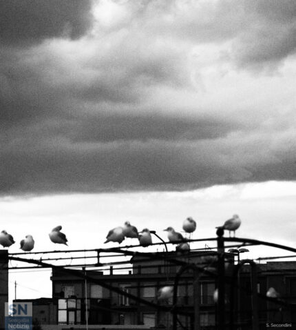 Temporale in arrivo - Foto Simone Secondini