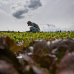 Il lavoro alla cooperativa sociale Undicesimaora