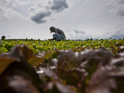 Il lavoro alla cooperativa sociale Undicesimaora