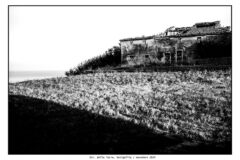 Il Paesaggio, la Fotografia, il Maestro - Davide Maglio e Aristide Salvalai