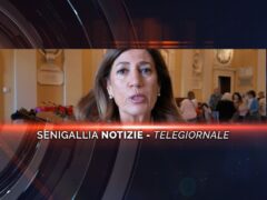 senigallia notizie telegiornale