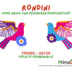 Rondini