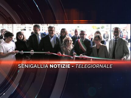 senigallia notizie telegiornale