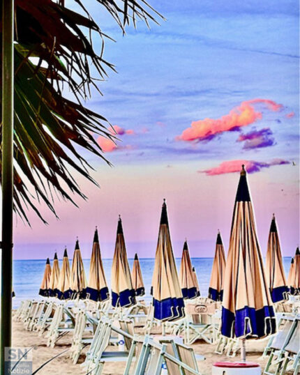 Ricordo di fine estate in rosa - Foto Barbara Brusoni