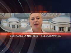 senigallia notizie telegiornale
