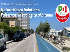 PD Senigallia sui lavori sul lungomare Marconi