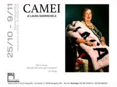 Locandina Mostra CAMEI di Laura Giammichele