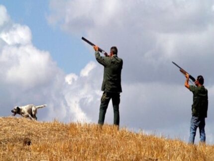 caccia, cacciatori