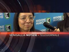 senigallia notizie telegiornale