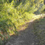 Un tratto del PercorriMisa