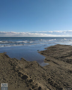 La rosa dell'inverno sei tu - Foto Daniele De Nigris