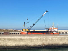 Draga al Porto della Rovere di Senigallia