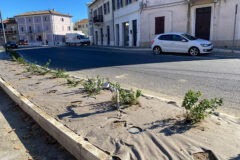 Aiuola tra largo Cesarini e viale Leopardi