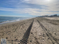 Tracce - Foto Massimo Mariselli