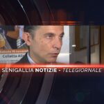 senigallia notizie telegiornale