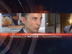 senigallia notizie telegiornale