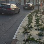 Aiuole lungo viale Leopardi