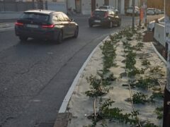 Aiuole lungo viale Leopardi