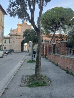 Carpinelli in via Cavallotti