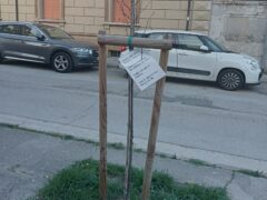 Cartello affisso a un albero in via Cavallotti