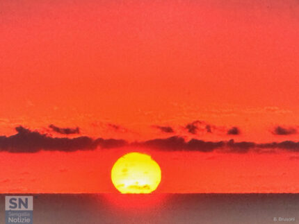 ... e la vita si sveglia - Foto Barbara Brusoni