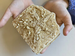 Lezione sulla Preistoria alla scuola primaria Don Antonio Morganti di Pianello di Ostra