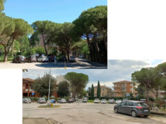 Rotatoria via Marche-viale A. Garibaldi prima e dopo taglio degli alberi