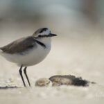 Sguardo da Fratino - Foto Andrea Leghissa