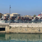 Passeggio al porto - Foto Massimo Mariselli
