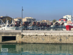 Passeggio al porto - Foto Massimo Mariselli
