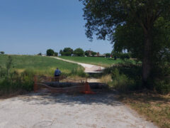Ponte di via Cone a Serra de' Conti