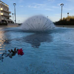 Rosa nella fontana - Foto Fedele Ruvio