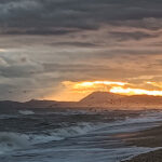 Centinaia di gabbiani - Foto Barbara Gaboardi