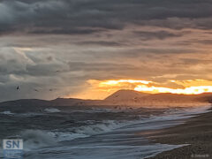 Centinaia di gabbiani - Foto Barbara Gaboardi
