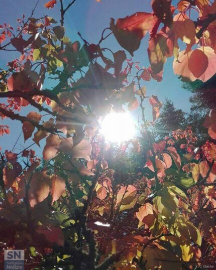 Sole d'autunno - Foto Cristina Giachè