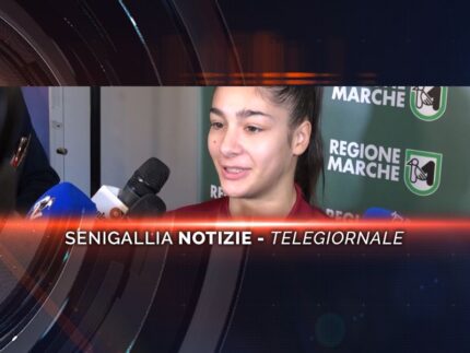senigallia notizie telegiornale