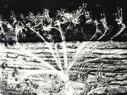 Mario Giacomelli, Presa di coscienza sulla natura, 1976-80, Courtesy Archivio Mario Giacomelli