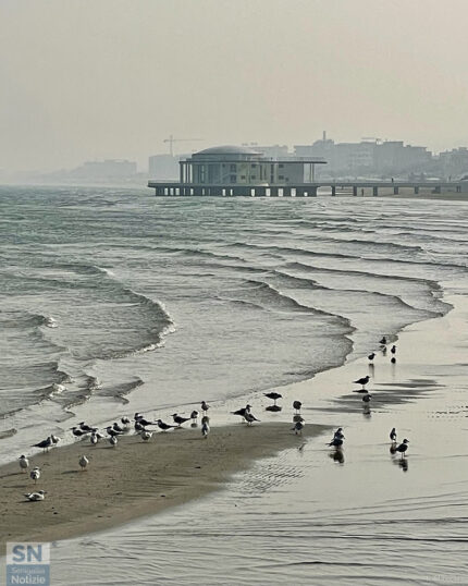 Dicembre al mare - Foto Roberto Sbriscia