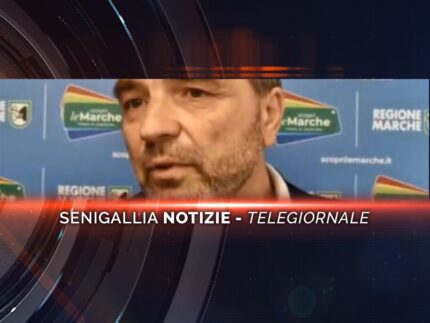 senigallia notizie telegiornale
