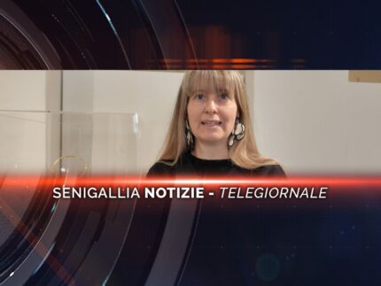 senigallia notizie telegiornale