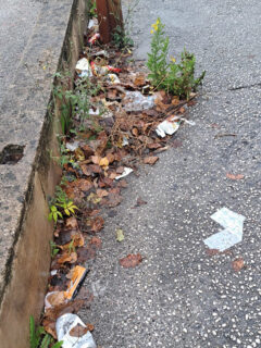 Incuria e sporcizia in via Abbagnano