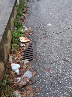 Incuria e sporcizia in via Abbagnano